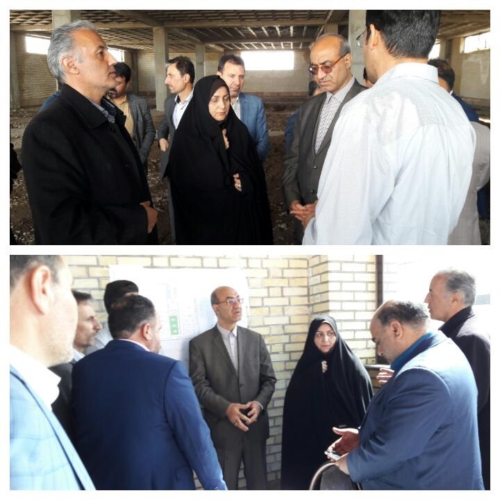 استان قزوین قطب تولید ماهیان زینتی کشور می&zwnj;شود