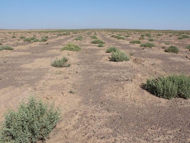 مراتع گلستان بیابان نمی‌شود