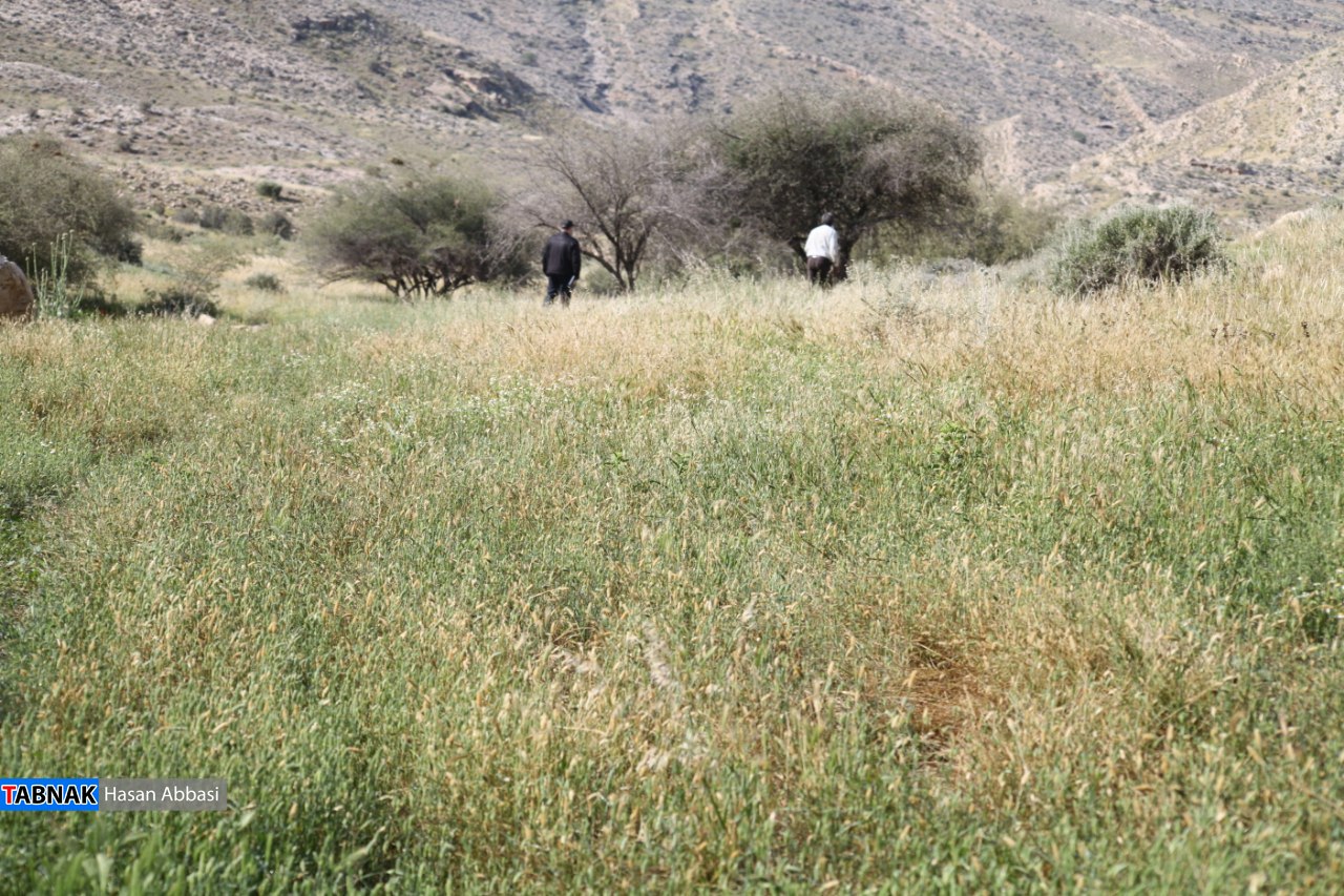 تنگ خلیل