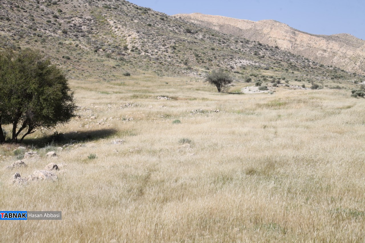تنگ خلیل