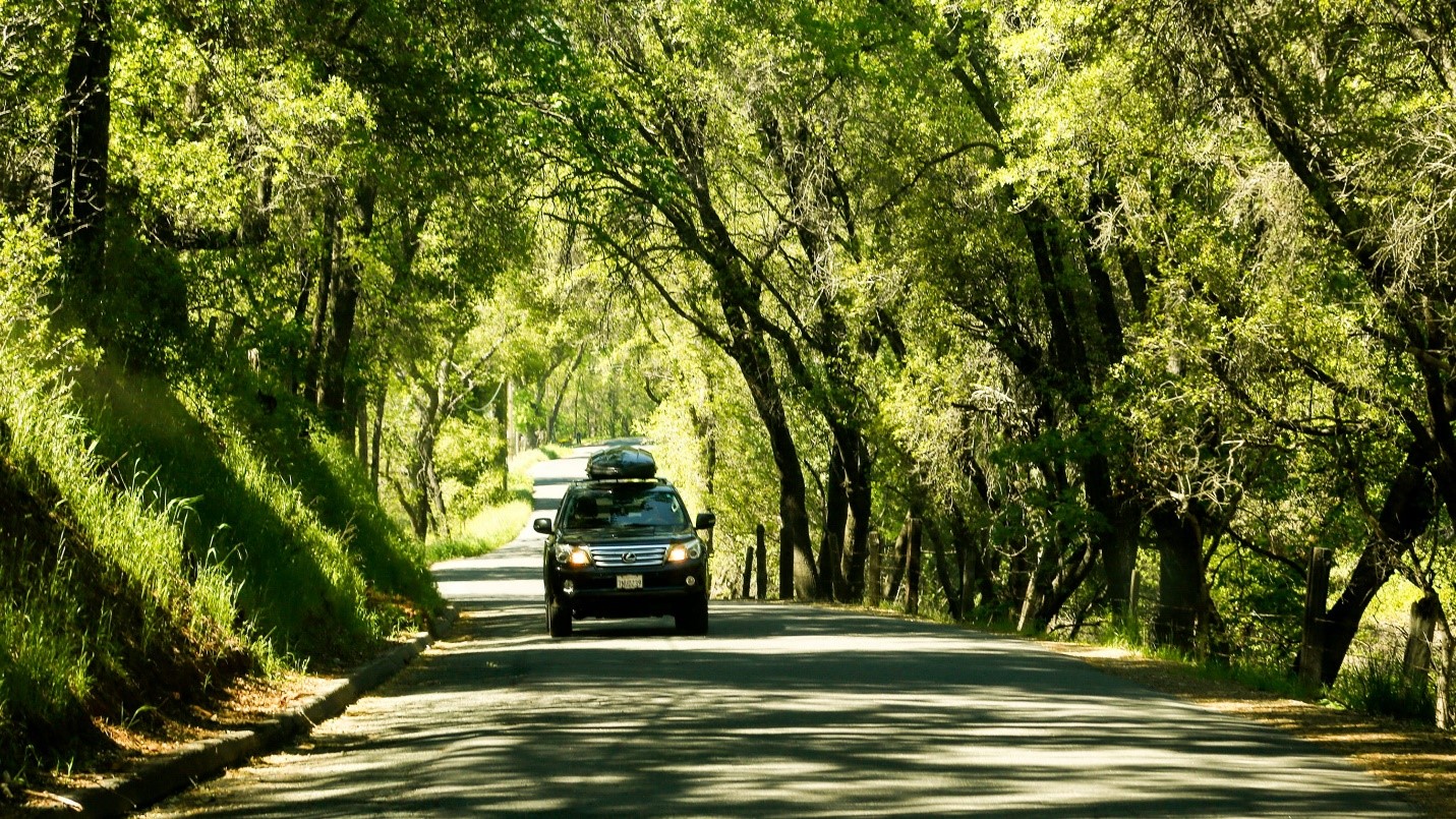 راهنمای اولین سفر کیش راهنمای اولین سفر کیش