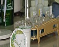 تولید کووید شیر به همت پژوهشگران دانشگاه اصفهان