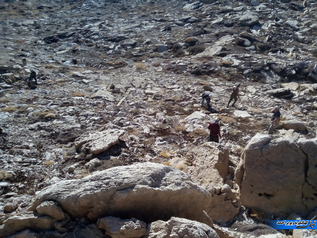 وحدت و همدلی در احیا و حفاظت از 90 هکتار پوشش گیاهی کوه سیاه وحدت و همدلی در احیا و حفاظت از 90 هکتار پوشش گیاهی کوه سیاه