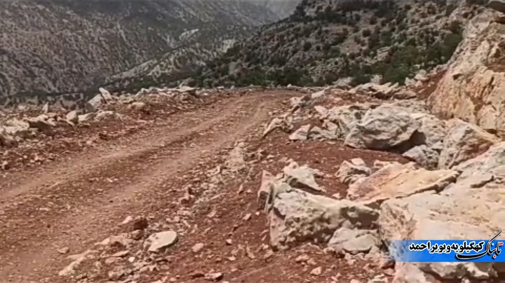 برفکون در خواب ! / پروژه ای که فقط 4 سال زنده بود! + فیلم