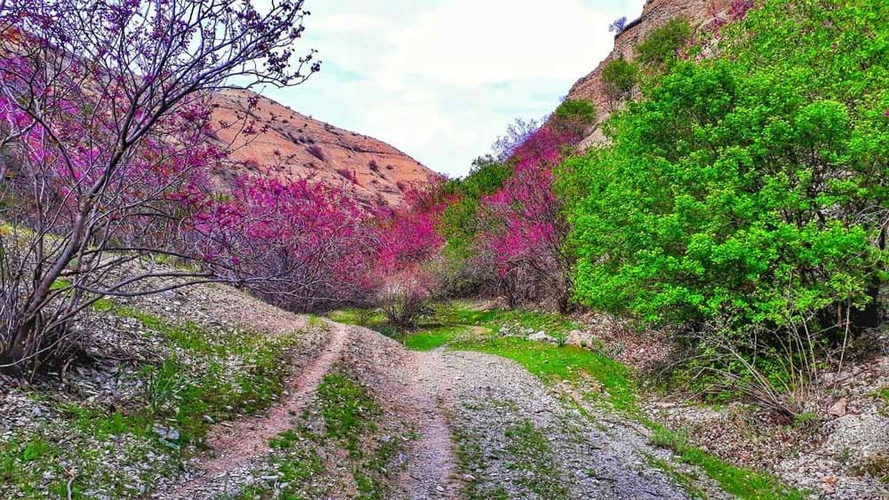 طبیعت گردی اطراف مشهد طبیعت گردی اطراف مشهد