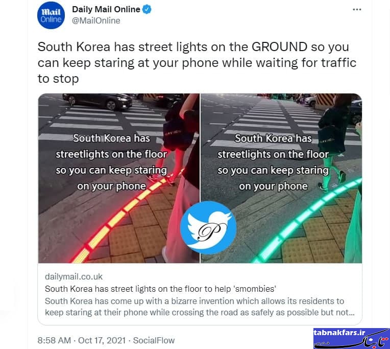 نصب چراغ راهنمایی کف خیابان&zwnj;های کره جنوبی/ عکس