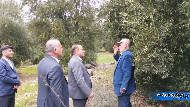 تلخ کامی خسارت دیدگان سیل مانسون از شیرنی دولت رئیسی ! + فیلم