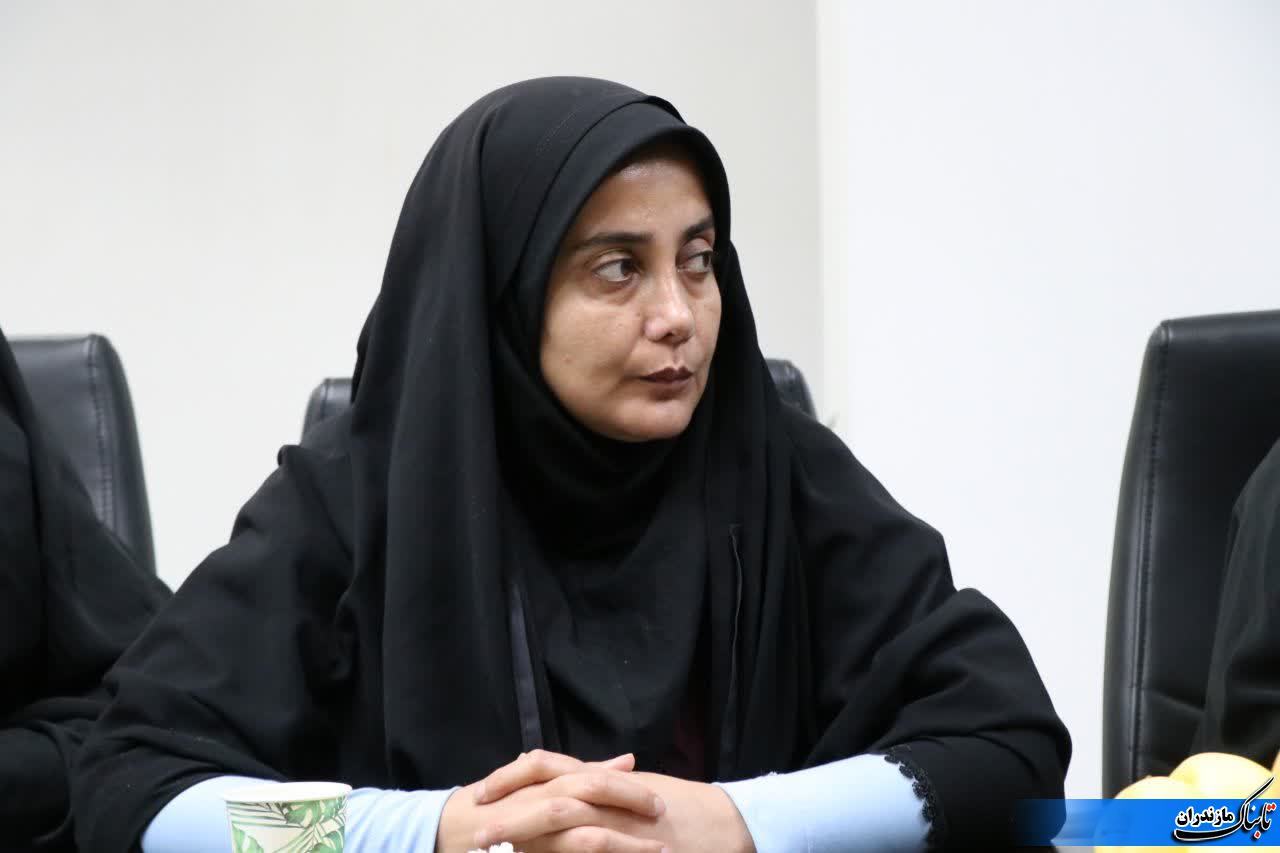 تشریح ۵۲ پروژه&zwnj;ی قابل افتتاح و کلنگ&zwnj;زنی در دهه فجر از سوی فرماندار نکا