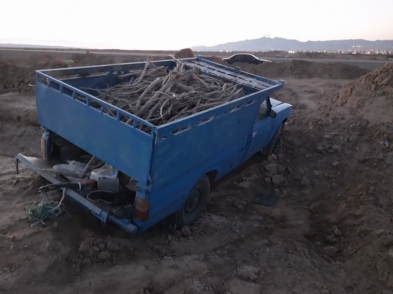 قاچاقچی درختچه های تاغزار اشتهارد به دام افتاد قاچاقچی درختچه های تاغزار اشتهارد به دام افتاد