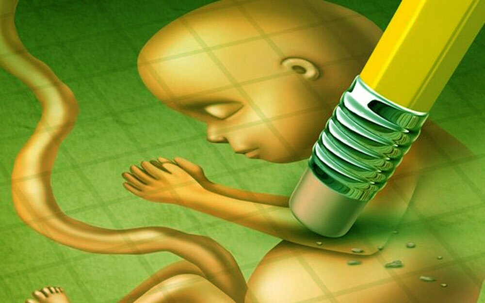 تابناک گزارش می دهد| سقط جنین در فارس؛ ۷۲ درصد متقاضیان مجوز قانونی دریافت میکنند/ ناهنجاریهای جمجمه و مغز همچنان در صدر تابناک گزارش می دهد| سقط جنین در فارس؛ ۷۲ درصد متقاضیان مجوز قانونی دریافت میکنند/ ناهنجاریهای جمجمه و مغز همچنان در صدر