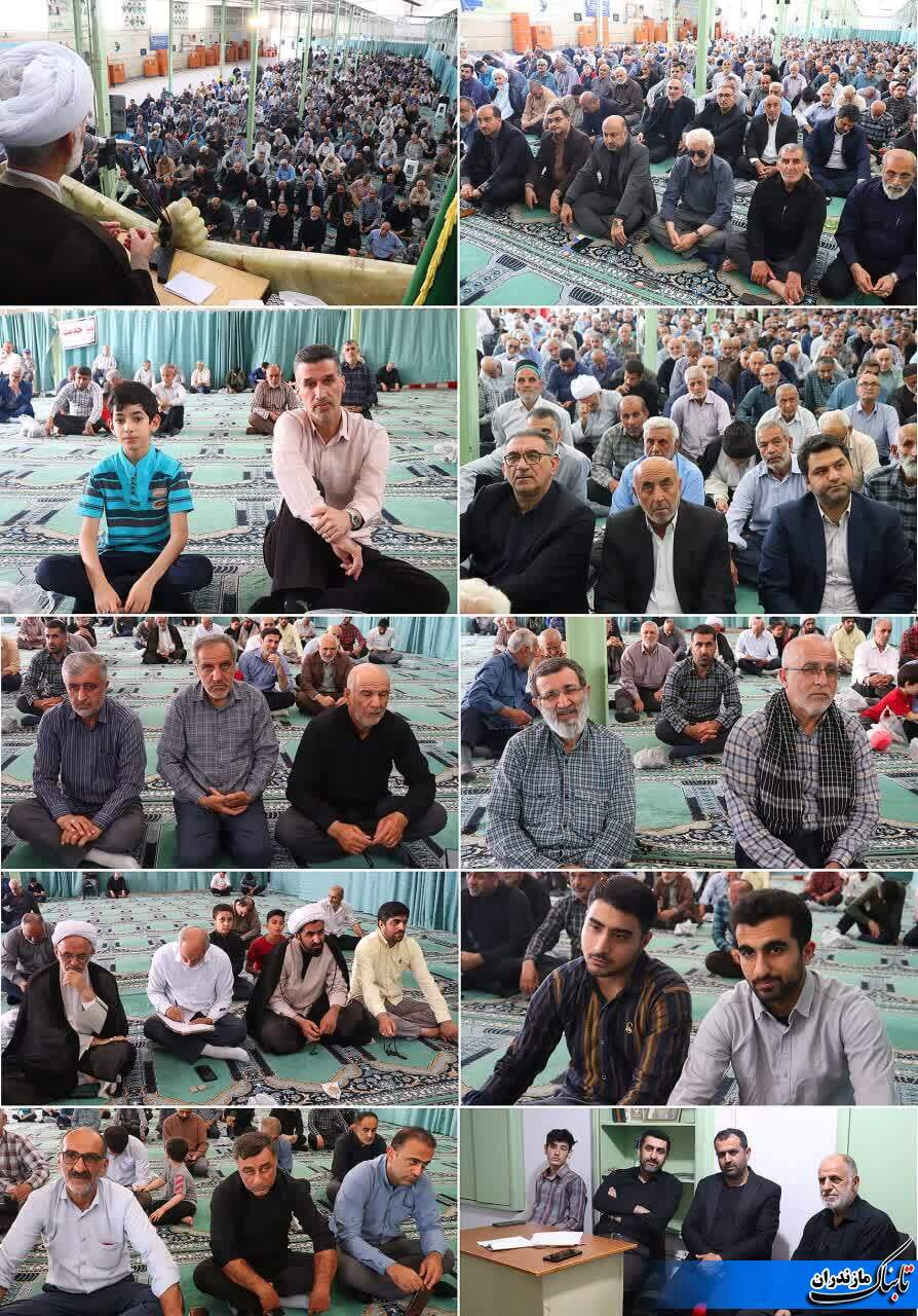 قتلِ سگِ هار در اسلام اشکالی ندارد/ برای کم شدن نسلِ سگ&zwnj;های دیگر به نحوی دیگر برخورد شود