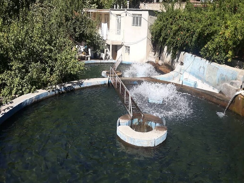 اختصاص ۹۰ دستگاه‌ هواده اسپلش به مزارع پرورش ماهی در پاوه