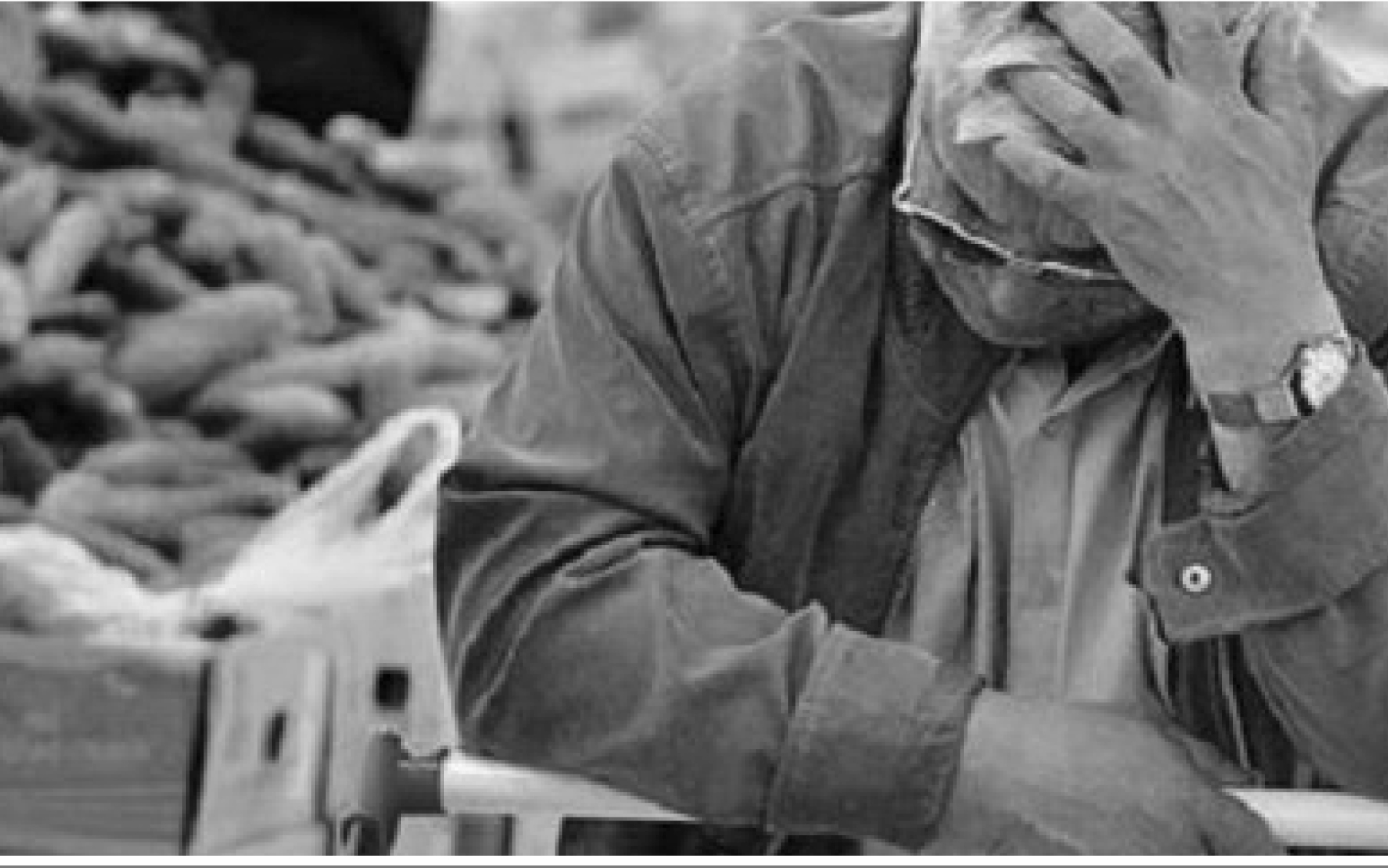 سوگند به نان سفرههاییکه بی مسوولانه کم رنگ شدند سوگند به نان سفرههاییکه بی مسوولانه کم رنگ شدند