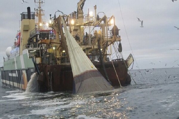 تجهیزات صید غیر مجاز در بندرلنگه جمع آوری شد تجهیزات صید غیر مجاز در بندرلنگه جمع آوری شد