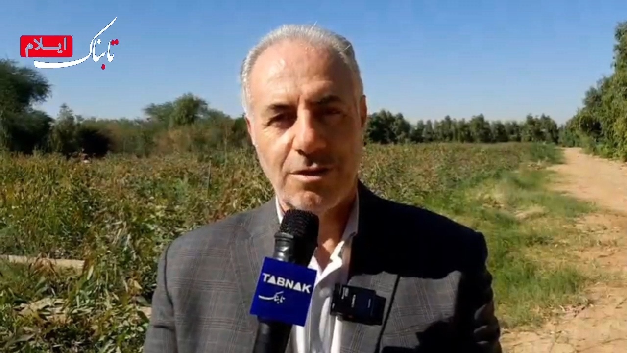 غرس بیش از ۳۵۰ میلیون نهال در اجرای طرح «یک میلیارد درخت» + فیلم