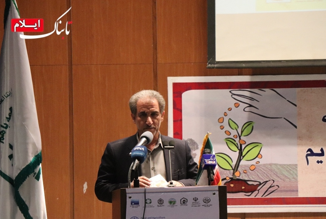 توسعه ۵۰۰ هکتار باغ در اراضی شیب‌دار ایلام/ کشاورزی حفاظتی راهی برای کاهش هزینه‌ها است