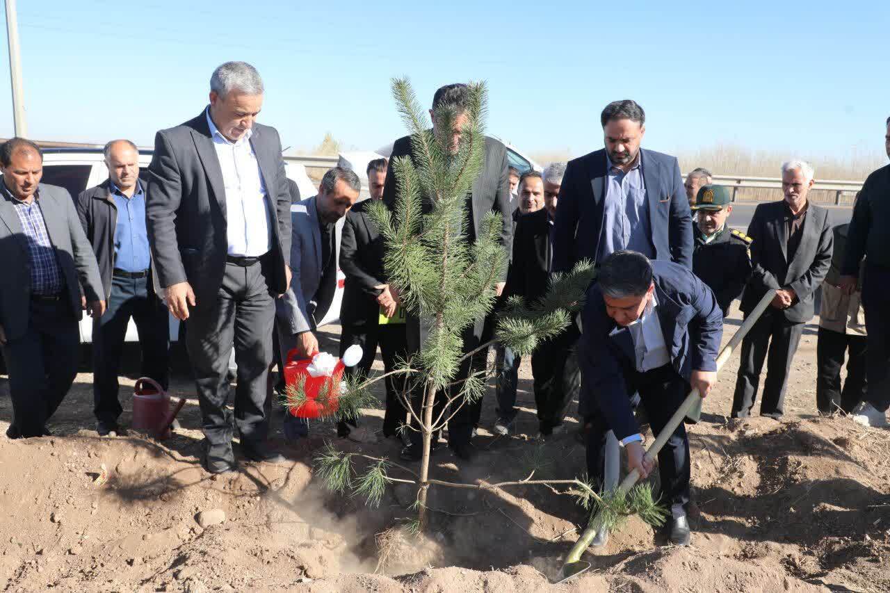 یک میلیون اصله نهال در استان اردبیل کاشته شده است یک میلیون اصله نهال در استان اردبیل کاشته شده است