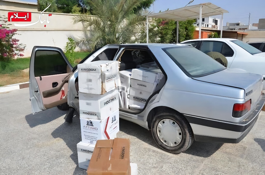 توقیف ۵۳۹ خودروی شوتی در ایلام/ ۱۶۰ دستگاه حامل کالای قاچاق توقیف ۵۳۹ خودروی شوتی در ایلام/ ۱۶۰ دستگاه حامل کالای قاچاق