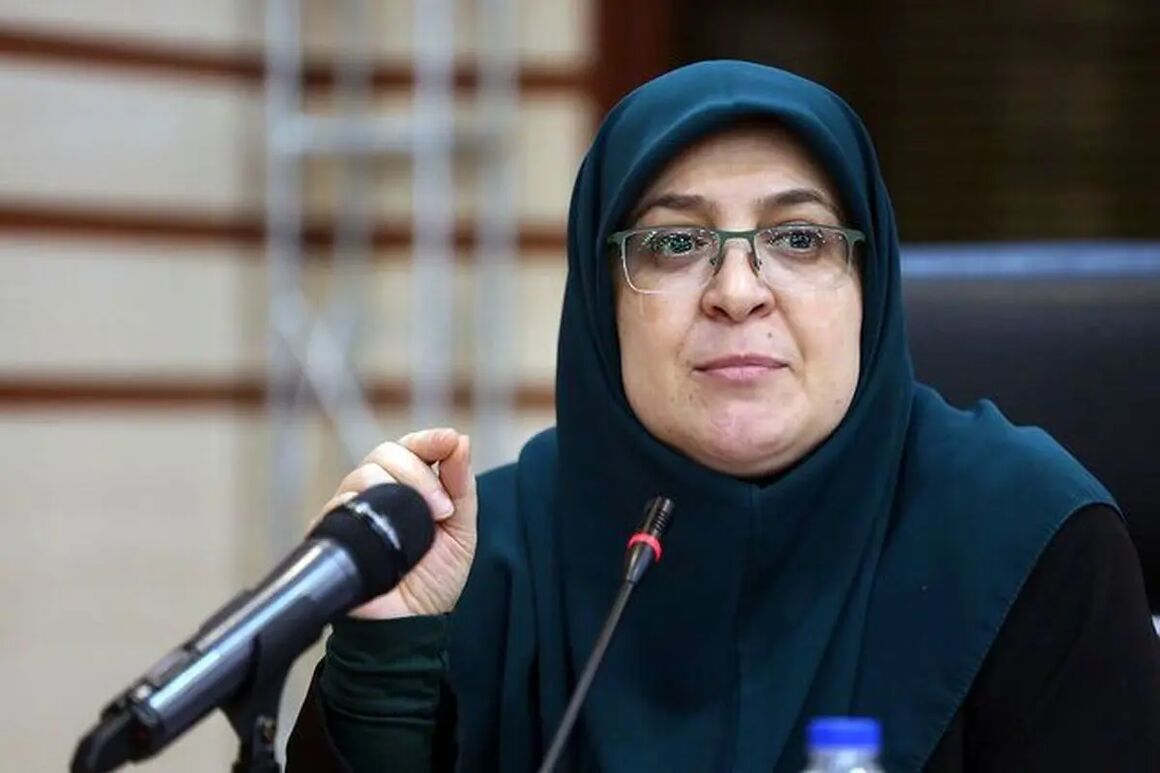 سخنگوی دولت وارد هرمزگان شد