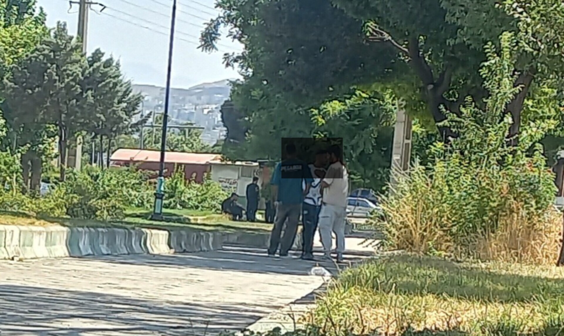 زیر سایه درخت، کنار دود و متلک زیر سایه درخت، کنار دود و متلک