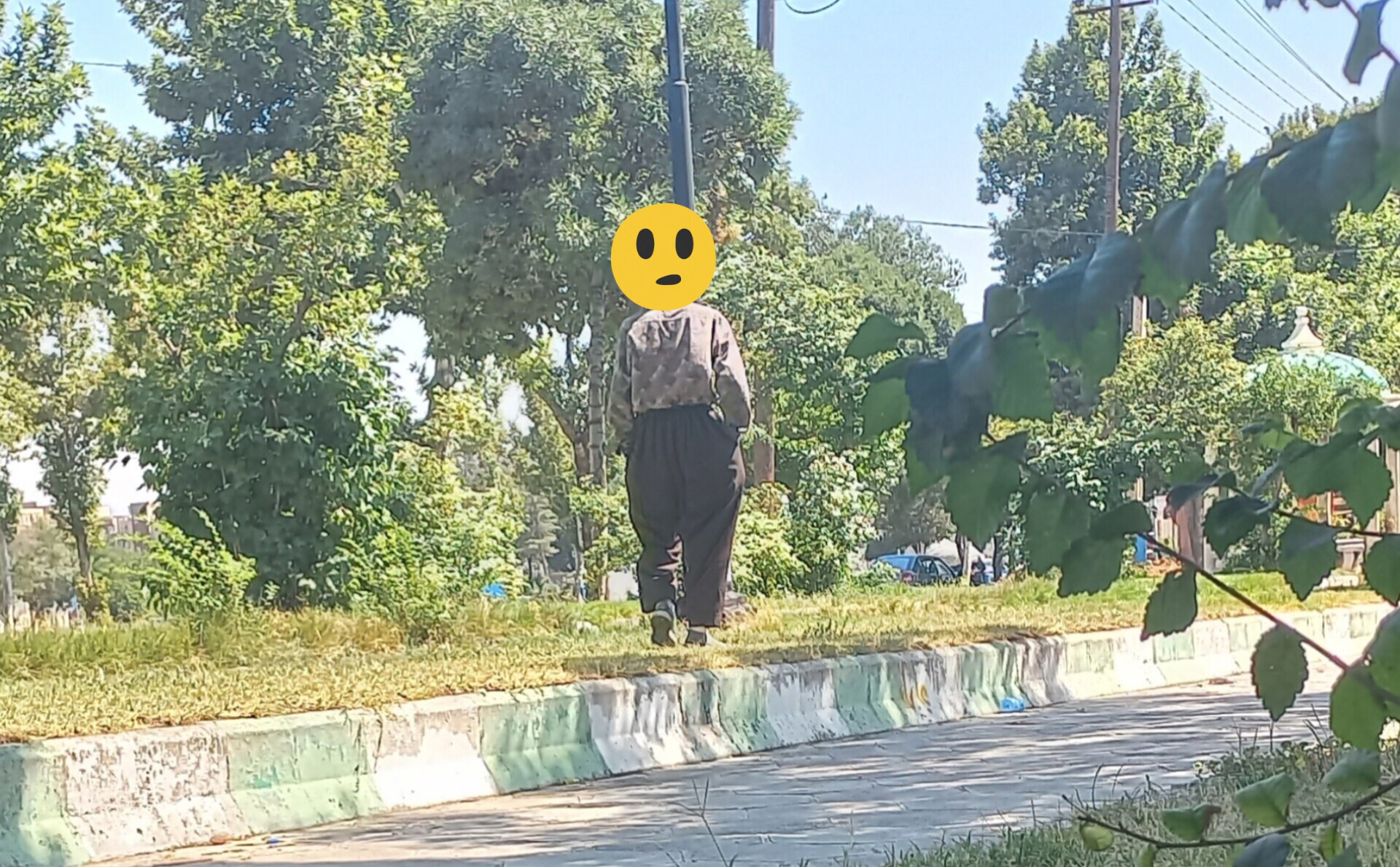 زیر سایه درخت، کنار دود و متلک زیر سایه درخت، کنار دود و متلک