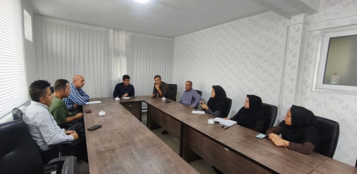 چالش تأمین بذر و پرداخت مطالبات؛ توسعه کشت کلزا در مریوان نیازمند هماهنگی بیشتر دستگاهها چالش تأمین بذر و پرداخت مطالبات؛ توسعه کشت کلزا در مریوان نیازمند هماهنگی بیشتر دستگاهها