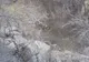 مشاهده نخستین پلنگ ایرانی در‌ باغ شادی خاتم یزد/ نشانه‌ای مهم برای پایداری جمعیت حیات‌وحش