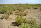 زنگ خطر بیابان‌زایی در ۱۲ روستای استان همدان/ از مقاومت محلی تا چالش‌های احیای اراضی